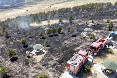 Çorum’da örtü yangını ormana sıçradı, 800 dönüm alan yandı