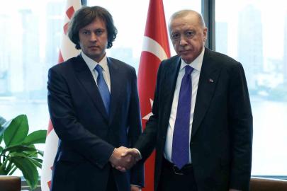 Cumhurbaşkanı Erdoğan, Gürcistan Başbakanı Kobakhidze ile görüştü
