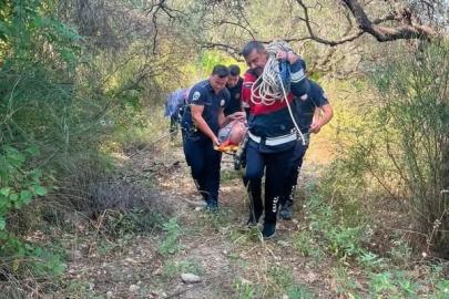 Defne’de ağaçtan düşen vatandaş yaralandı