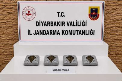 Diyarbakır’da 187 bin 391 kök kenevir, 25 buçuk kilo esrar ele geçirildi