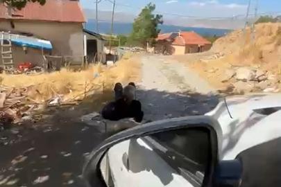 Elazığ’da yaşlı bir adam, zincirle ağaca bağlanmış şekilde görüntülendi