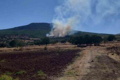 Eskişehir’de ormanlık alanda çıkan yangın kontrol altına alınmaya çalışılıyor