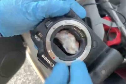 Fotoğraf makinesinin içinden uyuşturucu çıktı: 2 gözaltı