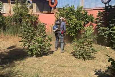 Germencik’te okullar yeni eğitim yılına hazırlanıyor