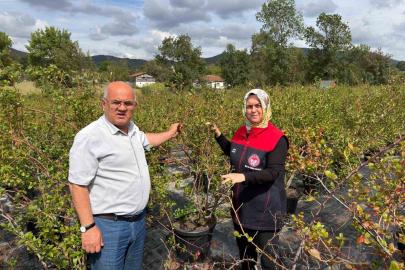 Gümüşova’da Yaban Mersini ve Aronya üretimi için yeni adım