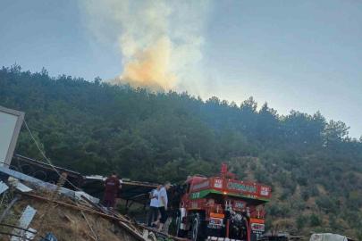 Hassa’da ormanlık alan yangını kontrol altına alındı