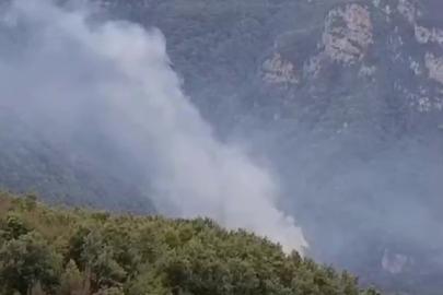 Hatay’da orman yangını: Ekiplerin müdahalesi başladı
