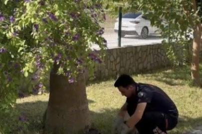 Havalandırma boşluğuna düşen 3 yavru kediyi itfaiye kurtardı