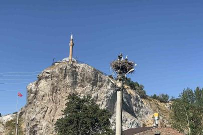 Her sene gelen kanatlı misafirler, mahallenin sakinleri arasında yerlerini aldı