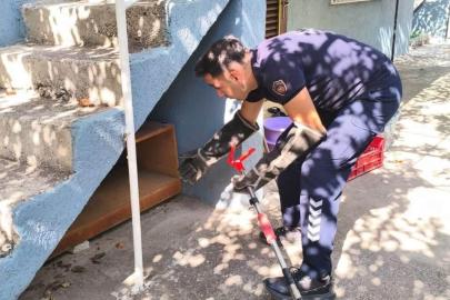 İskenderun’da evin içerisinde görülen yılan yakalandı