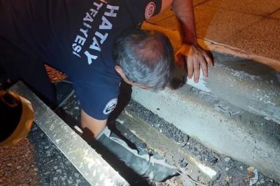 İskenderun’da mahsur kalan hayvanlar ekipler tarafından kurtarıldı