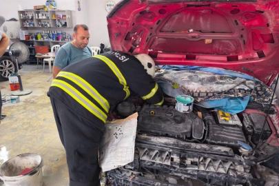İskenderun’da mahsur kalan kedileri itfaiye kurtarıldı