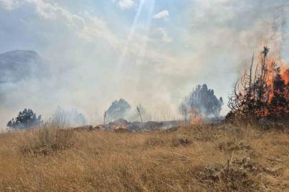 Isparta’da ormanlık alanda çıkan yangın 6 saatte söndürüldü