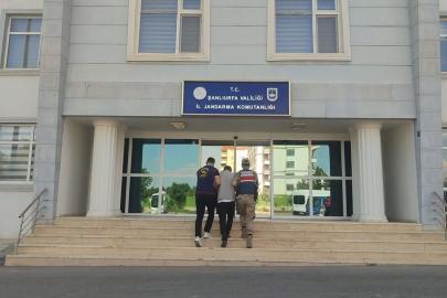 İstanbul’daki milyonluk dolandırıcılık olayının zanlısı Şanlıurfa’da yakalandı