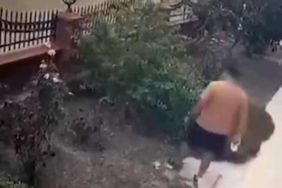 İzmir’de yavrulu kediye tekme atan saldırgan yakalandı