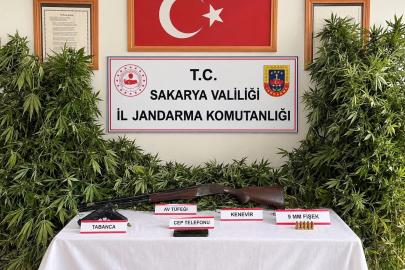 Jandarmadan 3 ilçede uyuşturucu operasyonu: 3 tutuklama