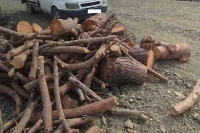 Kahramanmaraş’ta kaçak orman emvali