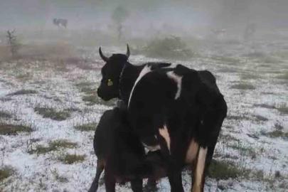 Karabük’te dolu yağışı etkili oldu