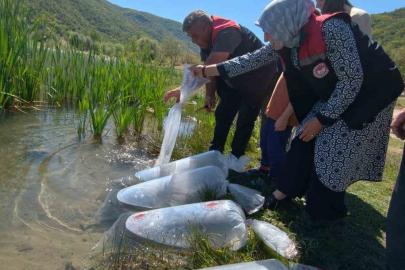 Karabük’teki göletlere 105 bin yavru balık bırakıldı
