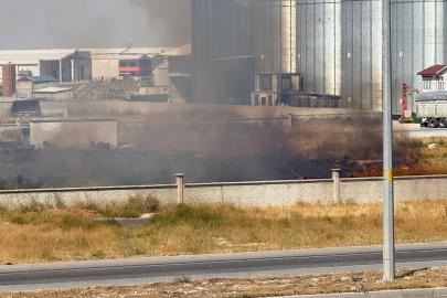 Karapınar’da ot yangını paniği