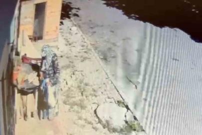 Kaynanasının en sevdiği çiçek çalındı: "Teyzenin yapacağı aklımızdan geçmezdi"
