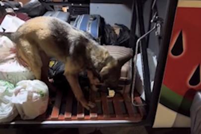 Kayseri’de yolcu otobüsü operasyonu: 3 kilo 420 gram uyuşturucuyla yakalanan 2 şüpheli tutuklandı