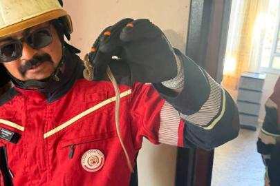 Kırıkhan’da eve giren yılanı itfaiye yakaladı