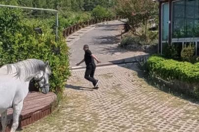 Klip çekiminde atın altında kalmaktan son anda kurtuldu