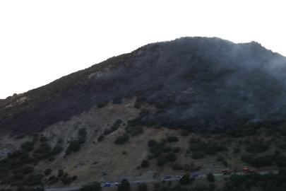 Konya’da ormanlık alanda yangın