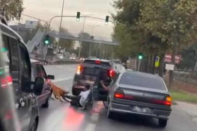 Köpeğin vatandaşı ayağından ısırıp sürüklediği anlar kamerada