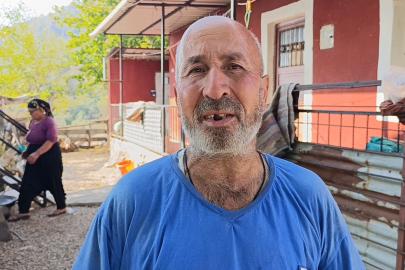 Kozan’daki yangından önce görüntülenen yeşil orman, yangın sonrası siyaha büründü