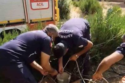 Kuyuya düşen yavru kediyi itfaiye kurtardı