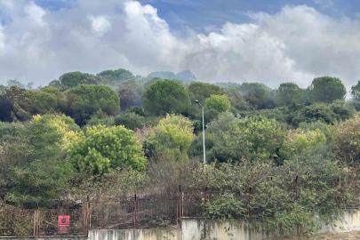 Maltepe’de ormanlık alanda korkutan yangın: Alevler Kenan Evren Kışlası’na sıçradı