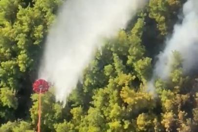 Manavgat’ta orman yangını