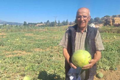 Manisalı çiftçi dede mirası ata tohumu karpuz geleneğini sürdürüyor
