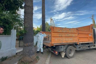 Marmaris’teki çöp evden bir kamyon çöp ve 30’a yakın kedi çıktı