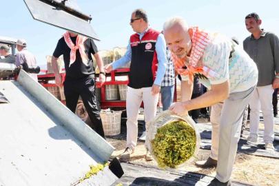 Menemen’de ’Bağ Bozumu’ coşkusu