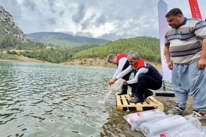 Mersin’de 17 göl ve gölete 347 bin yavru sazan bırakıldı