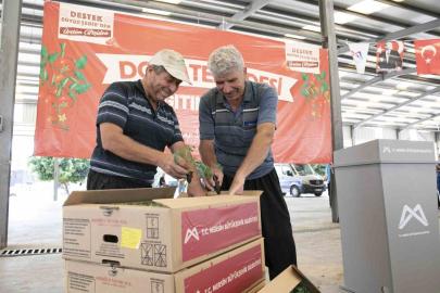 Mersin’de 200 üreticiye yüzde 70 hibeli domates fidesi desteği