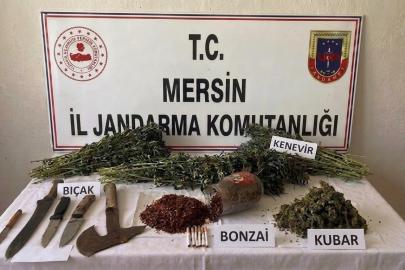 Mersin’de uyuşturucu operasyonu: 1 tutuklama