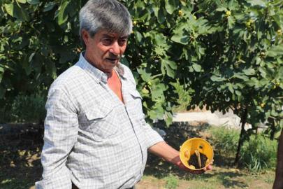 Muğla’da üreticinin emeğine çevre dostu koruma