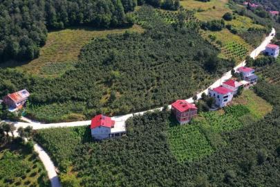 Ordu’da 35 yıllık yol sorunu çözüme kavuşturuldu