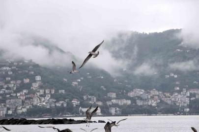 Ordu’da görsel şölen