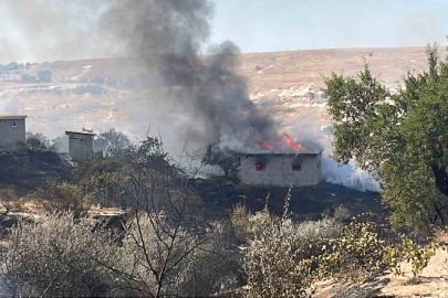 Otluk alanda başlayan yangın bağ evlerine sıçradı: 7 bağ evi kullanılamaz hale geldi