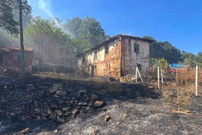 Otluk alanda çıkıp ormana sıçrayan yangın söndürüldü