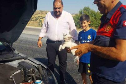 Otomobilin motoruna sıkışan kedi kurtarıldı