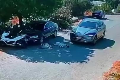 Otomobiliyle köpeklerin üzerinden geçti