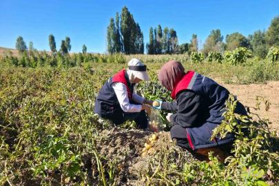 Patates tarlalarında pestisit denetimi yapıldı