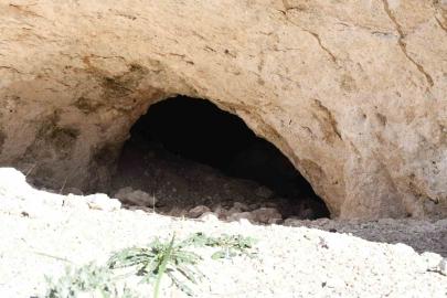 Pekmezin sırrı bu toprakta: Yozgat’tan Antalya’ya, Almanya’ya kadar gidiyor
