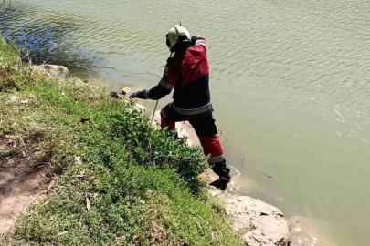 Reyhanlı’da göl kenarında görülen yılan yakalandı